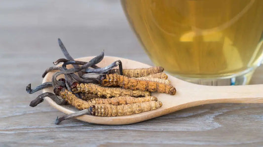 Exploring the Power of Cordyceps Mushrooms: Nature's Secret Superfood